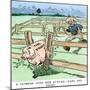 Cartoon by President Theodore Roosevelt (1858-1919) Trying to Regulate Industrial Trusts, Pork Decr-null-Mounted Giclee Print