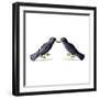 Cartoon Crows-lineartestpilot-Framed Art Print