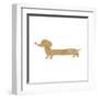 Cartoon Dachshund-lineartestpilot-Framed Art Print