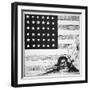 Cartoon Depicting Communism and Anarchy Creeping under the American Flag, 1919-null-Framed Giclee Print