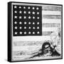 Cartoon Depicting Communism and Anarchy Creeping under the American Flag, 1919-null-Framed Stretched Canvas