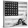 Cartoon Depicting Communism and Anarchy Creeping under the American Flag, 1919-null-Stretched Canvas