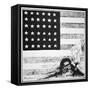 Cartoon Depicting Communism and Anarchy Creeping under the American Flag, 1919-null-Framed Stretched Canvas