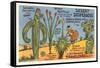 Cartoon Depicting Kinds of Cacti-null-Framed Stretched Canvas
