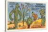 Cartoon Depicting Kinds of Cacti-null-Stretched Canvas