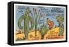 Cartoon Depicting Kinds of Cacti-null-Framed Stretched Canvas