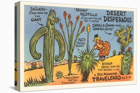 Cartoon Depicting Kinds of Cacti-null-Stretched Canvas