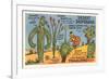 Cartoon Depicting Kinds of Cacti-null-Framed Premium Giclee Print