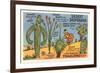 Cartoon Depicting Kinds of Cacti-null-Framed Premium Giclee Print