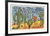 Cartoon Depicting Kinds of Cacti-null-Framed Premium Giclee Print