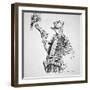 Cartoon Depicting Lyndon B. Johnson's Vigorous Domestic and Cautious Foreign Policies-null-Framed Giclee Print