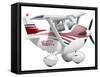 Cartoon Illustration of a Cessna 182 Aeroplane-Stocktrek Images-Framed Stretched Canvas