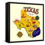 Cartoon Map of Texas.Travels-Daria_I-Framed Stretched Canvas