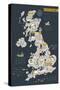 Cartoon Map of United Kingdom with Legend Icons-Lavandaart-Stretched Canvas