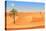 Cartoon Nature Sand Desert Landscape with Palms, Herbs and Mountains. Vector Seamless Game Style Il-Lemberg Vector studio-Stretched Canvas