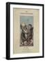 Cartoon of Darwin with an Ape, from 'The London Sketch Book', April 1874 Vol 1 No. 4 (Colour Litho)-English-Framed Giclee Print