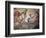 Cartoon of the miraculous draft of fishes, 15th century-Raphael-Framed Giclee Print