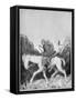 Cartoon of William II-null-Framed Stretched Canvas
