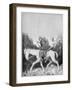 Cartoon of William II-null-Framed Giclee Print