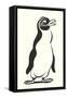 Cartoon Penguin-null-Framed Stretched Canvas