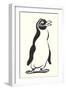 Cartoon Penguin-null-Framed Art Print