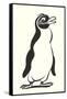 Cartoon Penguin-null-Framed Stretched Canvas