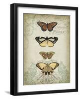 Cartouche and Butterflies I-Jennifer Goldberger-Framed Art Print