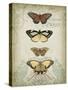 Cartouche and Butterflies I-Jennifer Goldberger-Stretched Canvas