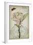 Cartouche & Floral I-Jennifer Goldberger-Framed Art Print