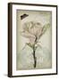 Cartouche & Floral I-Jennifer Goldberger-Framed Art Print
