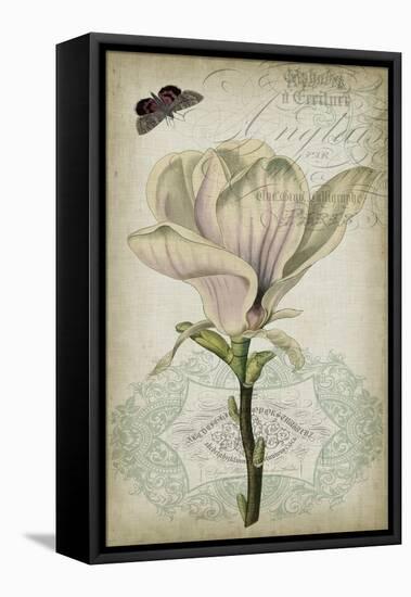 Cartouche & Floral I-Jennifer Goldberger-Framed Stretched Canvas