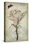 Cartouche & Floral I-Jennifer Goldberger-Stretched Canvas