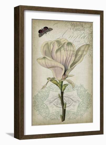 Cartouche & Floral I-Jennifer Goldberger-Framed Art Print