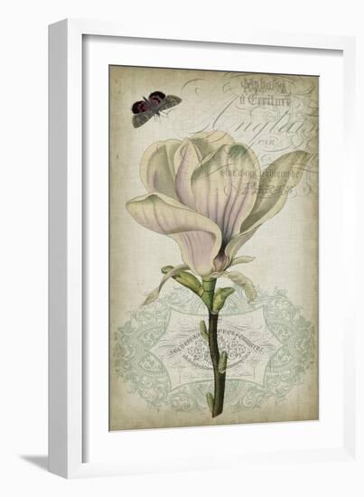 Cartouche & Floral I-Jennifer Goldberger-Framed Art Print