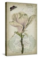 Cartouche & Floral I-Jennifer Goldberger-Stretched Canvas