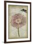 Cartouche & Floral II-Jennifer Goldberger-Framed Art Print