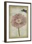 Cartouche & Floral II-Jennifer Goldberger-Framed Art Print