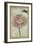 Cartouche & Floral II-Jennifer Goldberger-Framed Art Print