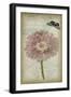 Cartouche & Floral II-Jennifer Goldberger-Framed Art Print