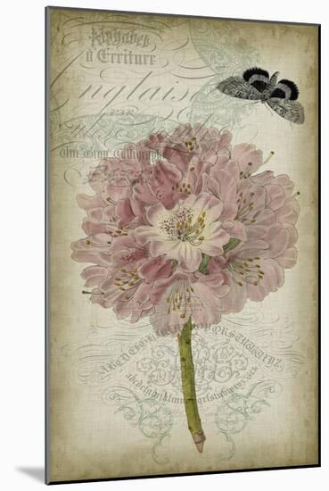Cartouche & Floral II-Jennifer Goldberger-Mounted Art Print