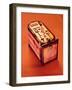 Cartouche-Shaped Box, from the Tomb of Tutankhamun, New Kingdom-Egyptian 18th Dynasty-Framed Giclee Print