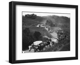 Carts Head to Market-null-Framed Photographic Print