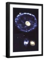 Cartwheel Galaxy-null-Framed Art Print