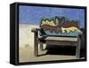 Carved Bench Detail, Todos Santos, Baja, Mexico-Cindy Miller Hopkins-Framed Stretched Canvas