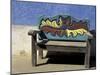 Carved Bench Detail, Todos Santos, Baja, Mexico-Cindy Miller Hopkins-Mounted Photographic Print