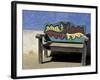 Carved Bench Detail, Todos Santos, Baja, Mexico-Cindy Miller Hopkins-Framed Photographic Print