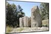 Carved Bronze Age Granite Statue Menhirs at Filitosa-Nick Upton-Mounted Photographic Print