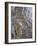 Carved Elephant Columns of Temple at Ranakpur, Rajasthan, India-David H. Wells-Framed Photographic Print