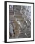 Carved Elephant Columns of Temple at Ranakpur, Rajasthan, India-David H. Wells-Framed Photographic Print