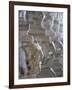 Carved Elephant Columns of Temple at Ranakpur, Rajasthan, India-David H. Wells-Framed Photographic Print